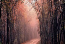 爱游戏官方入口-马赛在尤弗斯主场输球，持续低迷状态，马塞尔·尤里斯