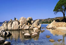 爱游戏投注-玻利维亚队赛季封幕战告捷 赢得完美结局，玻利维亚足球战绩