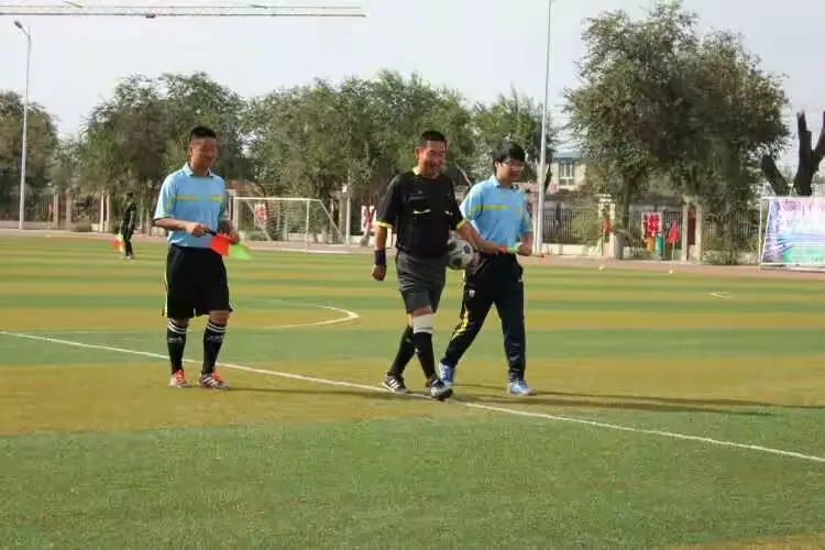 队员团结一心，比赛精彩纷呈令人惊叹的简单介绍